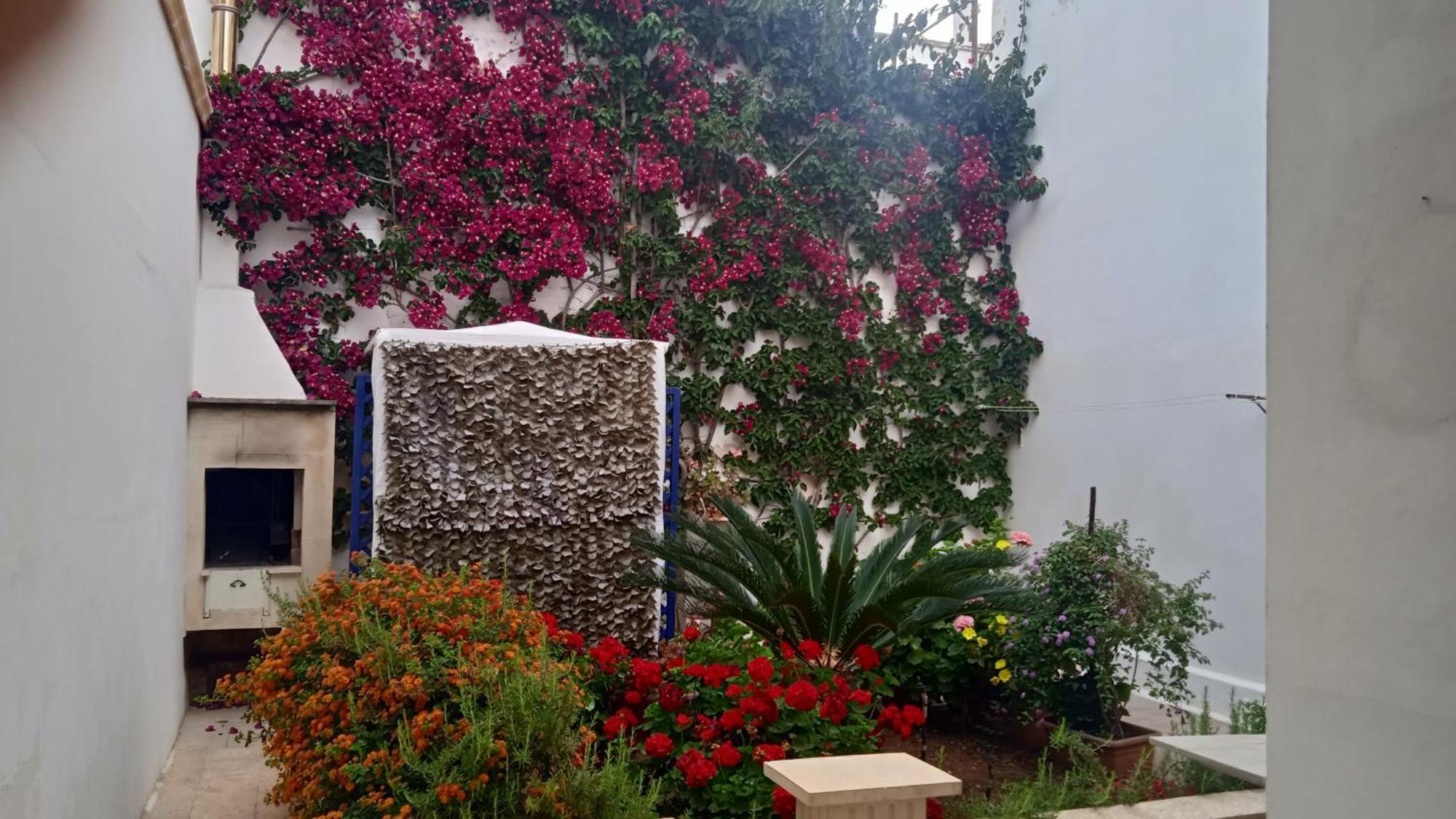 Villa Casa A 30 M Dal Mare Sant Isidoro  Exterior foto